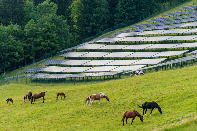 Solar Farms and Land Use